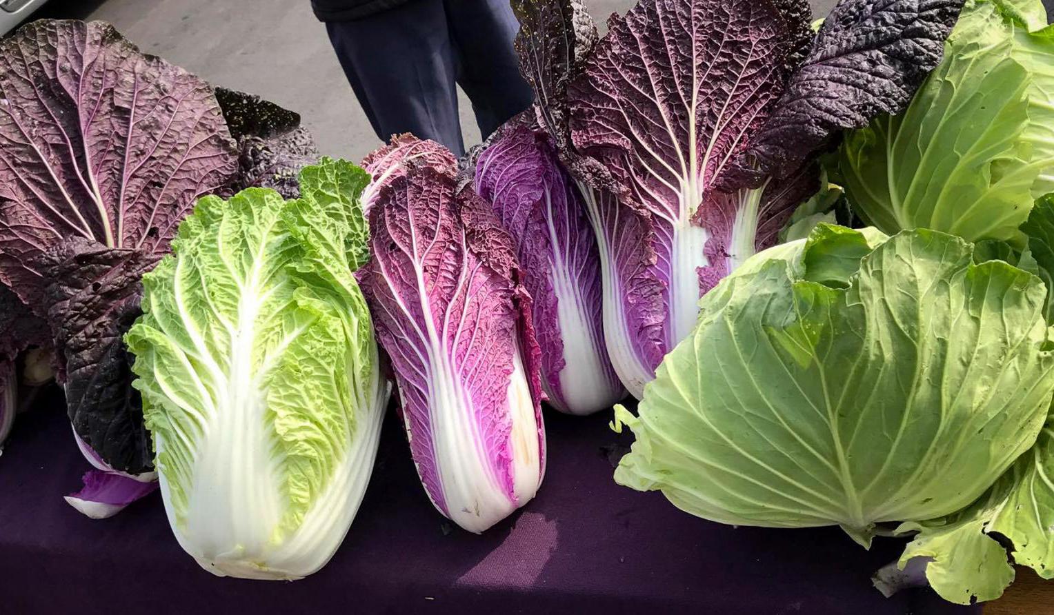 紫甘藍(lán)最新價(jià)格行情揭秘,新鮮資訊一網(wǎng)打盡!????