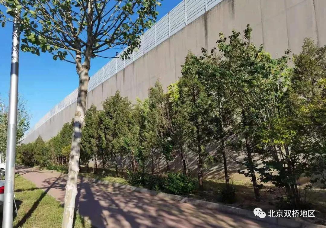 京秦2期最新公告發布，深度觀點闡述與分析