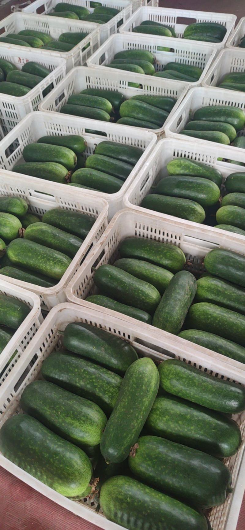 辦公設備耗材銷售 第32頁