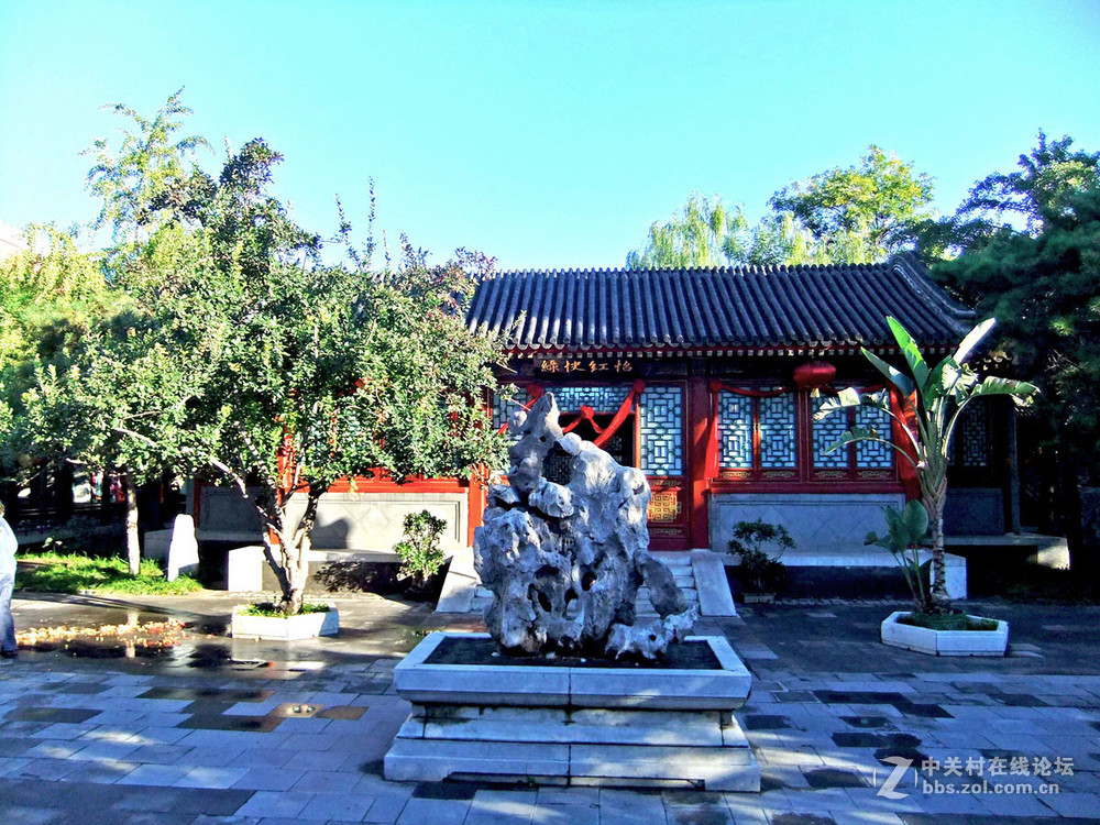 最新怡春院手機(jī)在線，日常趣事與情感紐帶連接的世界