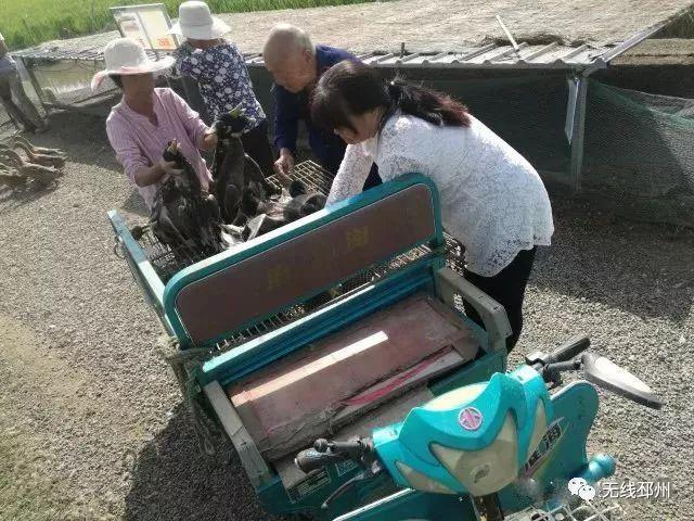 邳州最新民房出售信息,時代的印記,見證變遷的居所