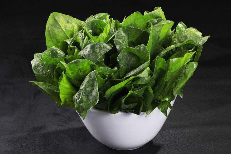 16年最新松花菜品種引領蔬菜種植新風潮