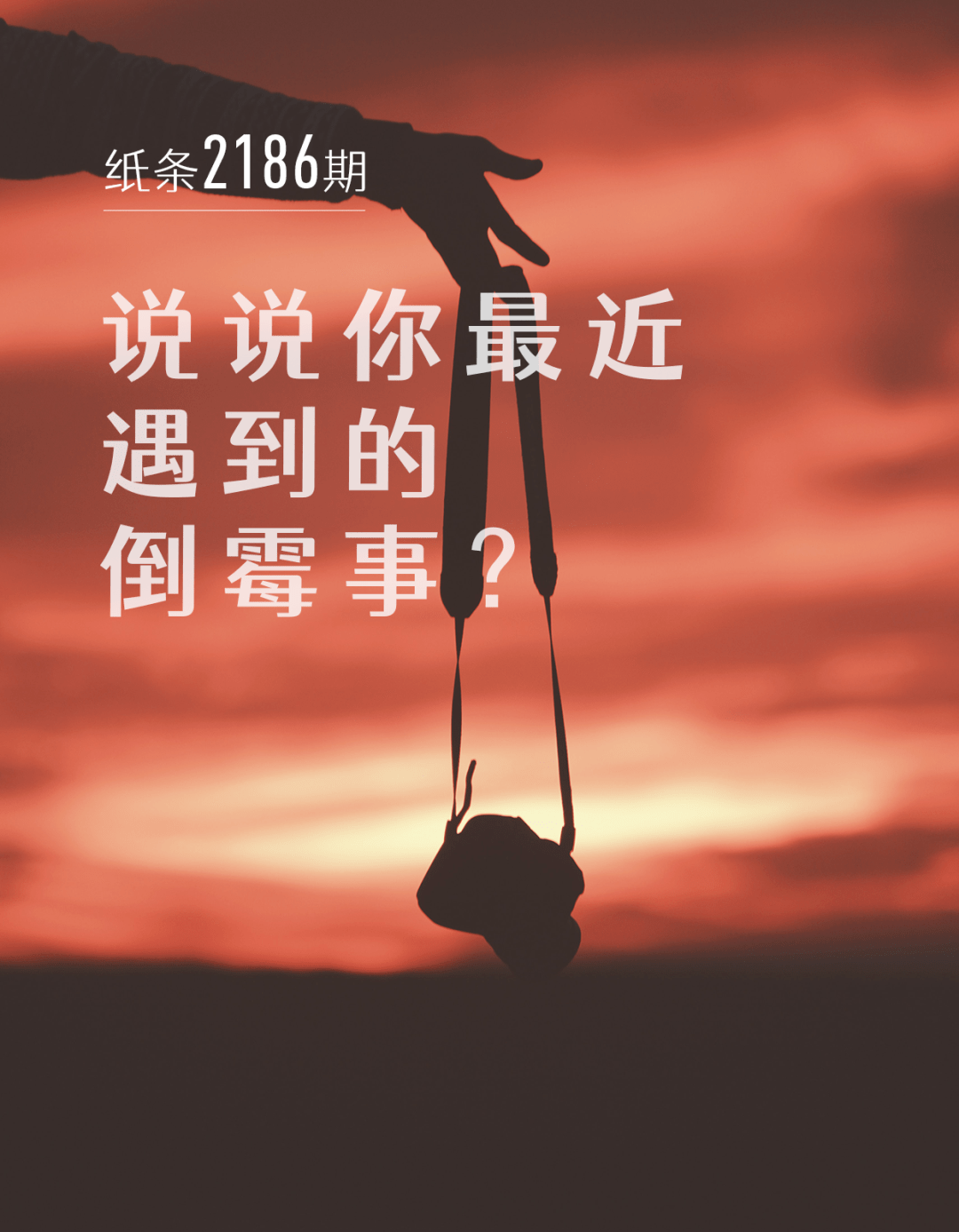 唯美說說2025最新蛻變,自信成就與未來光芒的綻放