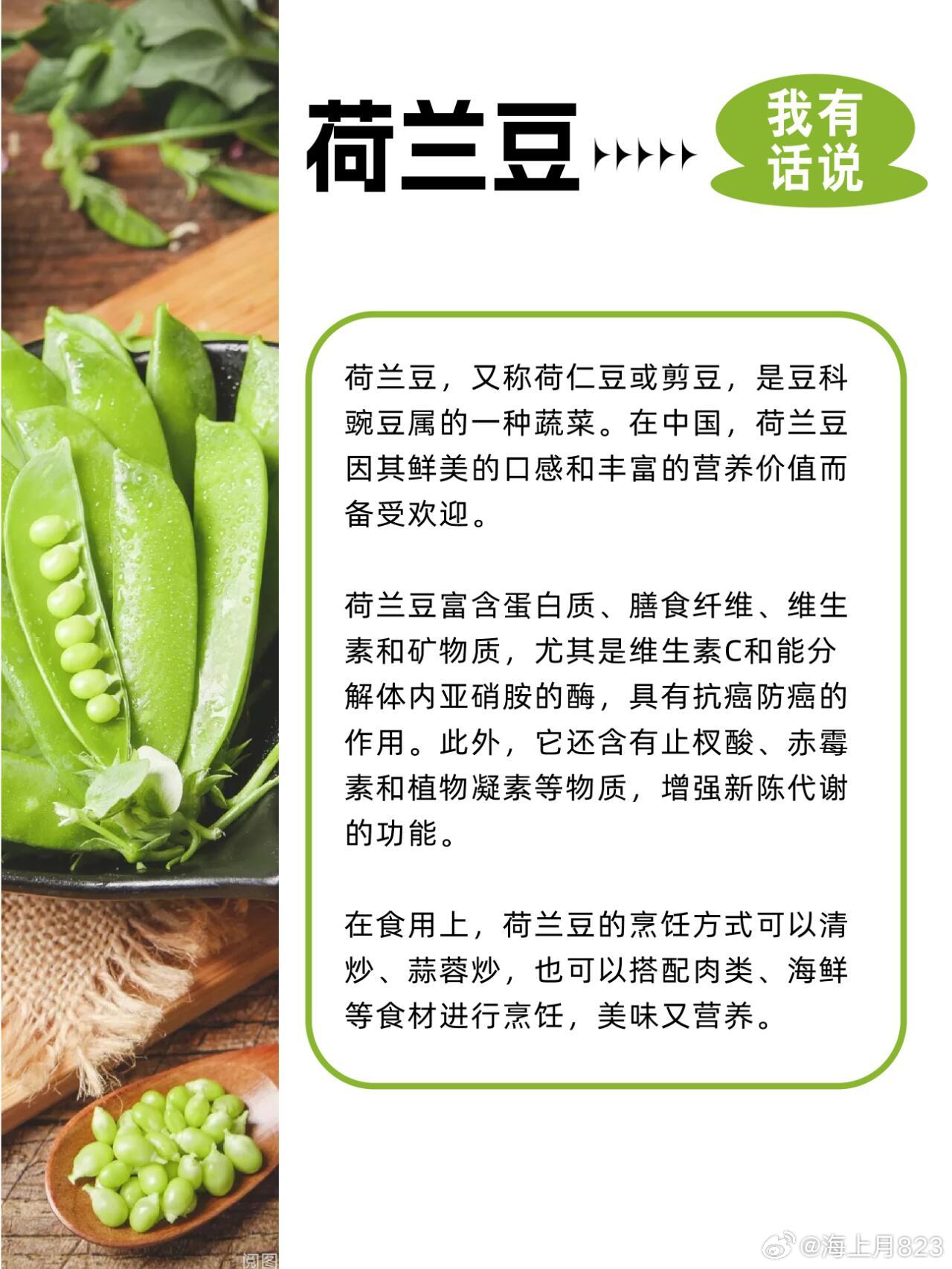 荷蘭豆價(jià)格最新行情指南，掌握最新行情，洞悉荷蘭豆價(jià)格動(dòng)態(tài)