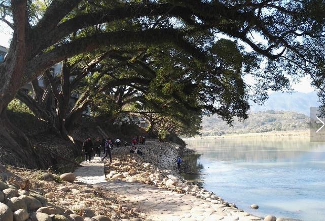 永泰高速公路最新規劃,時代速度與激情的交匯點