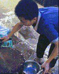 劍客無敵逆天邪神最新章節探秘，逆天劍意之征途