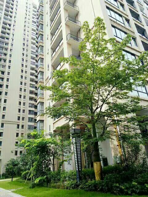 力沃幸福里最新動態，學習變化，成就自信與幸福之源