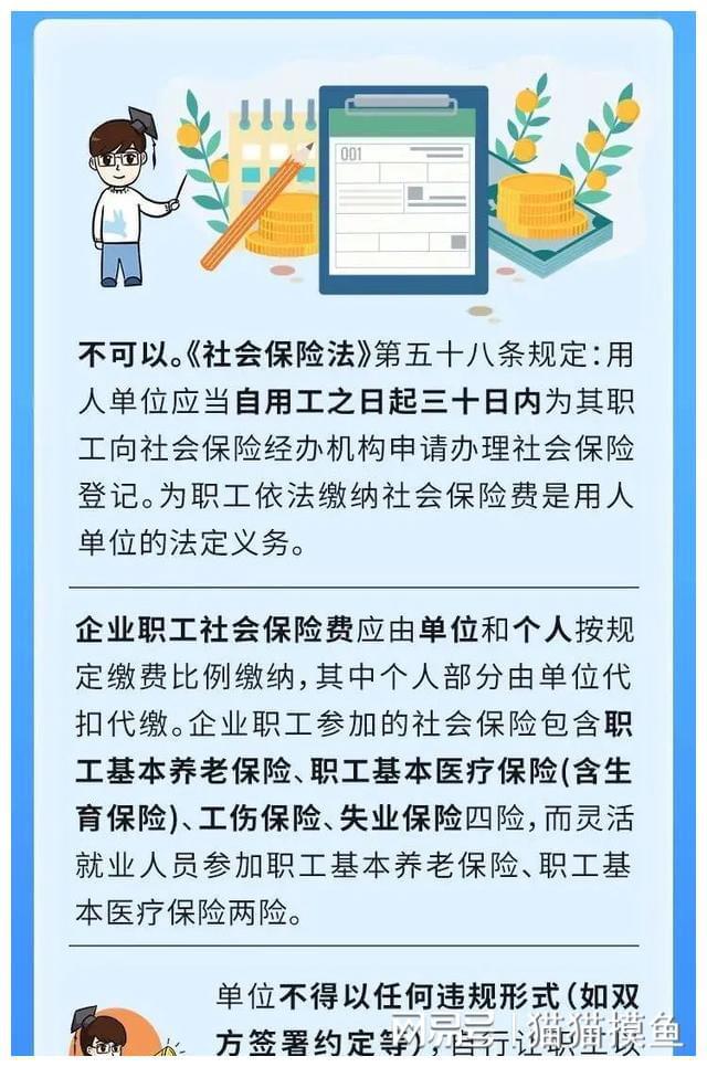 社會保險征繳條例最新解讀及政策更新概述