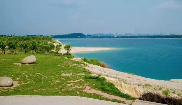 茂名最新動態,蓬勃發展的城市關注焦點