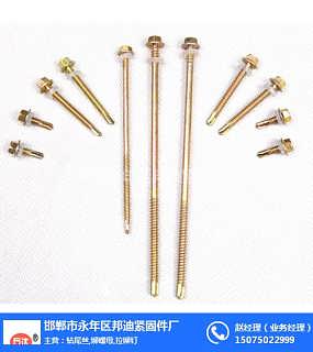 鉆尾螺絲最新招聘詳解,招聘步驟指南