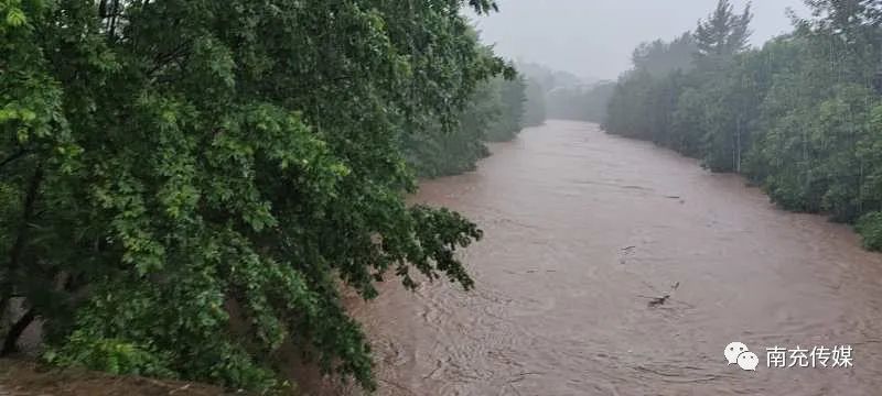 南充暴雨最新消息,深度分析與實(shí)時(shí)關(guān)注更新