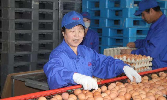 太仆寺旗寶昌最新房價(jià)，家的溫暖與房地產(chǎn)市場動(dòng)態(tài)