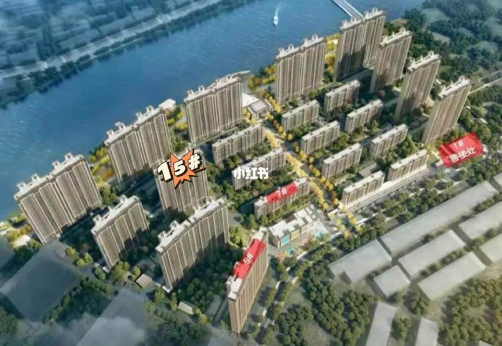 阜寧帝逸國際最新信息一覽，概覽與詳述