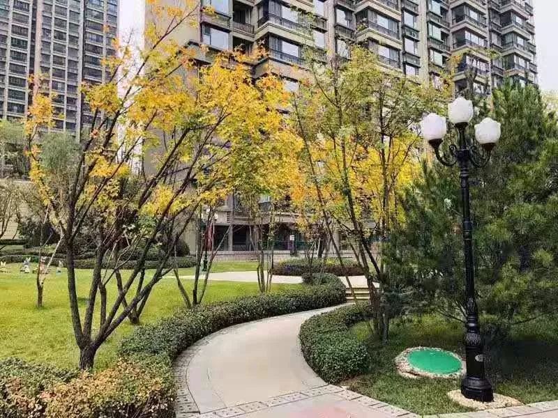 陽泉城區房源新動態,陽光下的理想家園趣事