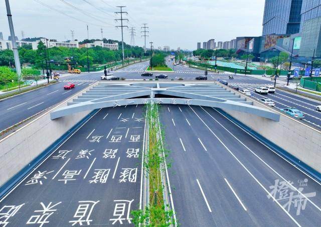 西天路最新利好,投資與旅游的新熱點崛起