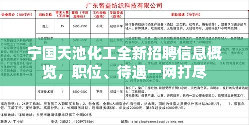 寧國白班最新招聘信息，職業(yè)繁榮與機(jī)遇在時(shí)代背景下的展現(xiàn)