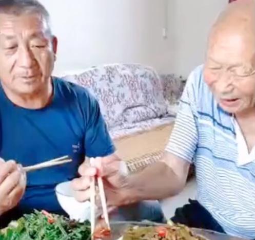 河南95號汽油最新價格揭秘,趨勢分析、影響因素與市場動態全解析