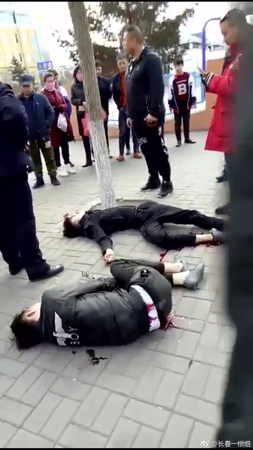 德惠四中殺人案背后的自然療愈之路,追尋內心寧靜與平和的旅程