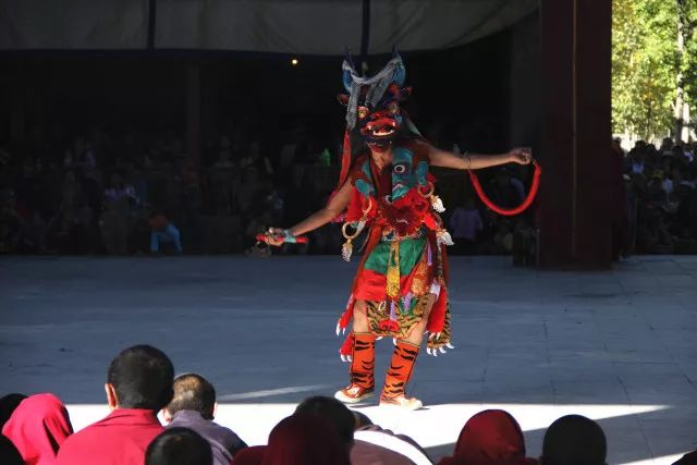 灰寶跳大神最新視頻,友情與舞蹈的溫馨日常