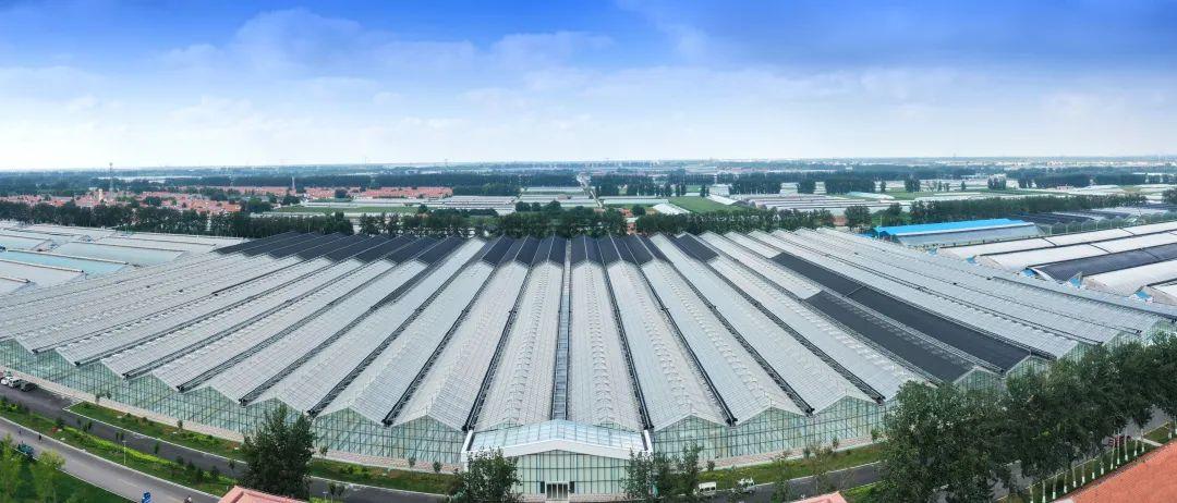 壽光最新招聘信息速遞,2025年招聘概覽