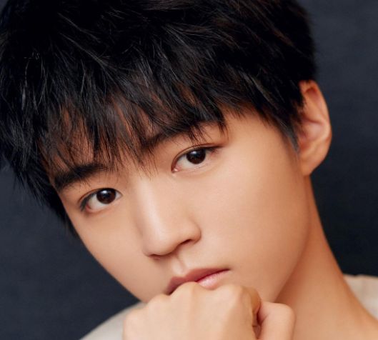 王俊凱最新頭像圖片,學習力量與自信的成就展現(xiàn)新風采