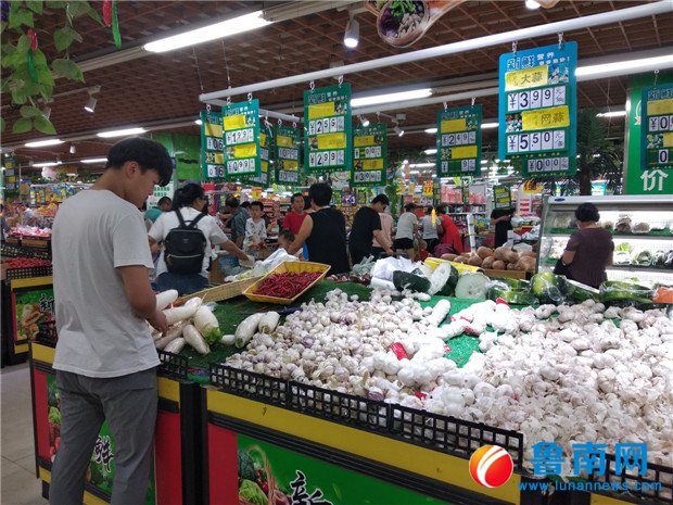 蒼山大蒜最新價格及自然美景探索之旅