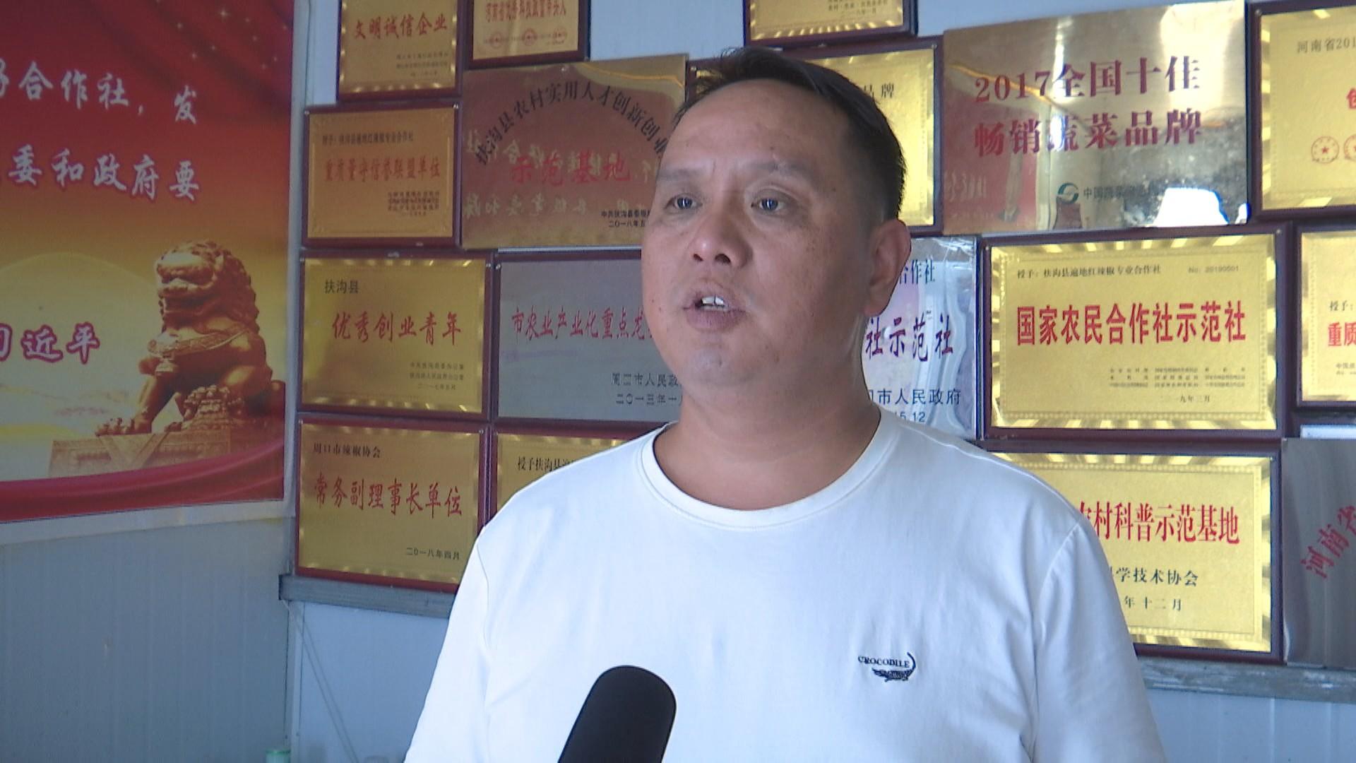 全國辣椒最新價格行情,科技引領產業變革,塑造未來生活新趨勢