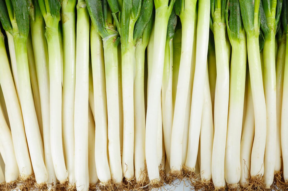 全國辣椒最新價格行情,科技引領產業變革,塑造未來生活新趨勢