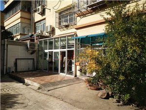 最新社旗獨家小院出售,市場趨勢、正反觀點分析與個人立場探討