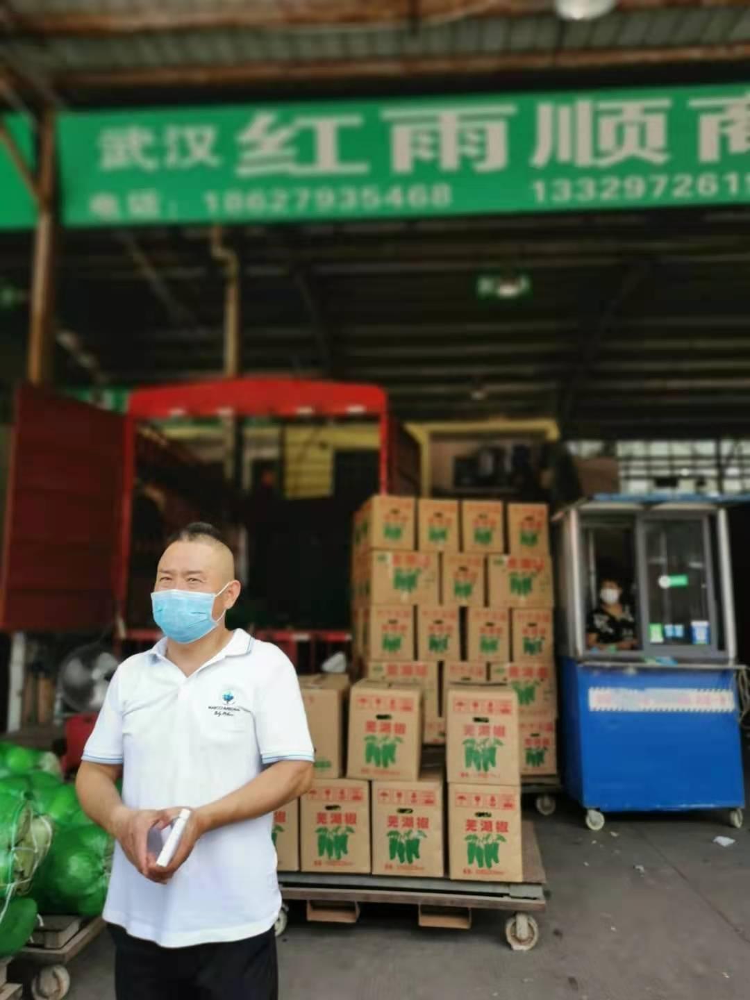 今日包菜價格行情更新