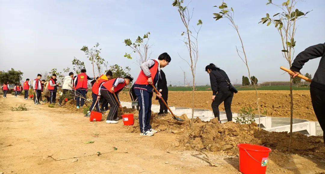 清風南陽最新發布,城市新動向與生活品質大提升