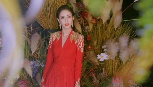 佟麗婭最新新聞，獲取與解讀明星資訊的步驟指南