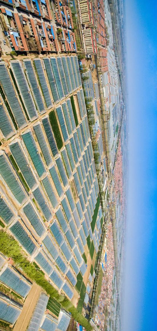 壽光蔬菜大棚最新招工信息,開啟綠色就業之門,招募大棚工作者