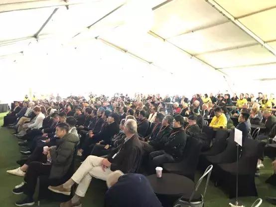 最新鋯英砂價格揭秘,小巷寶藏砂店探秘之旅