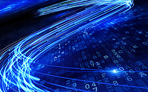 山東德州毛豬價格動態，機遇與自我超越的征程