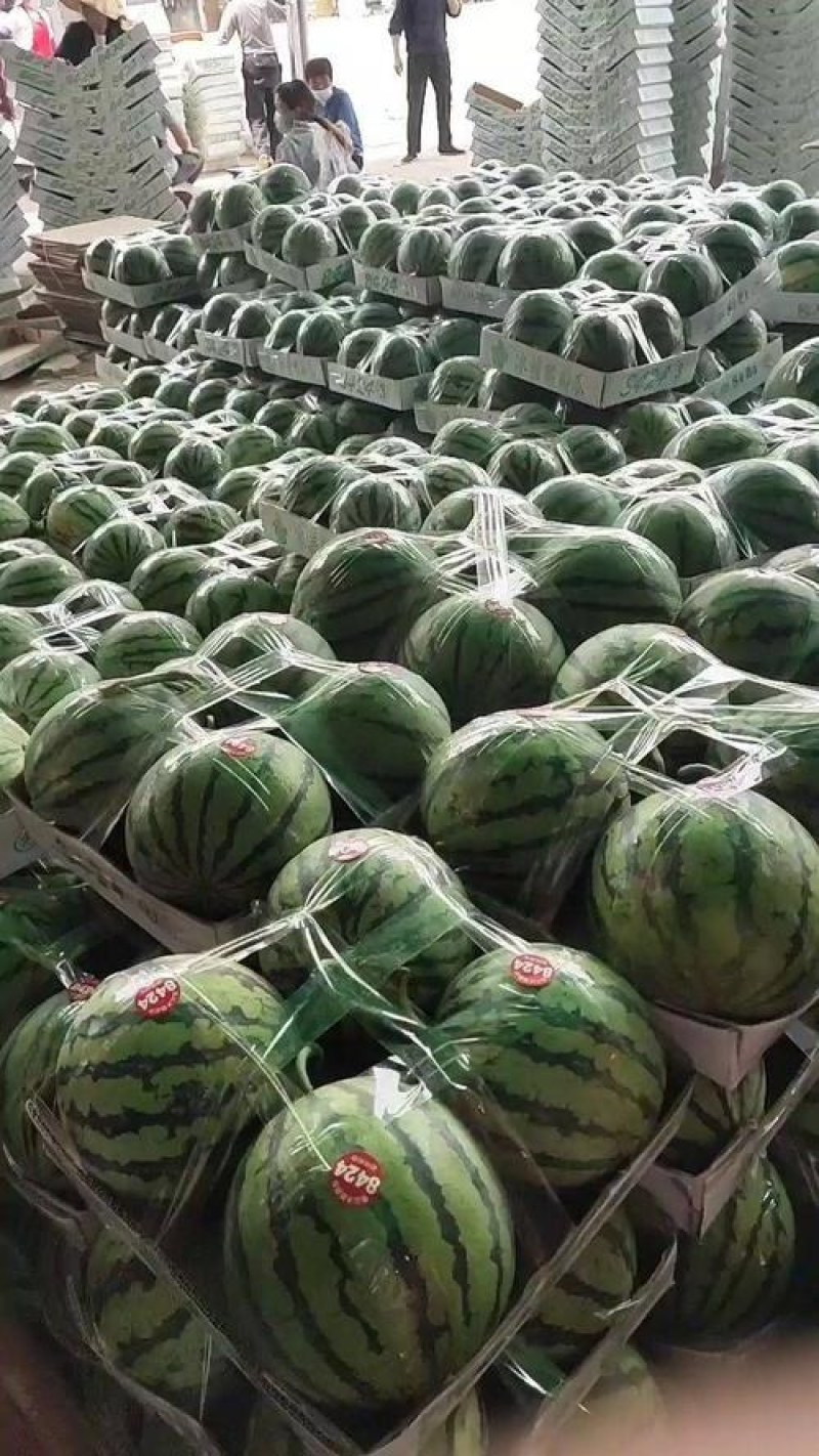 太康縣西瓜最新價格,時代背景下的瓜價變遷