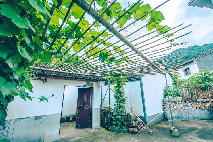 神級茶人最新章節,探尋自然美景之旅,追尋內心平靜之道