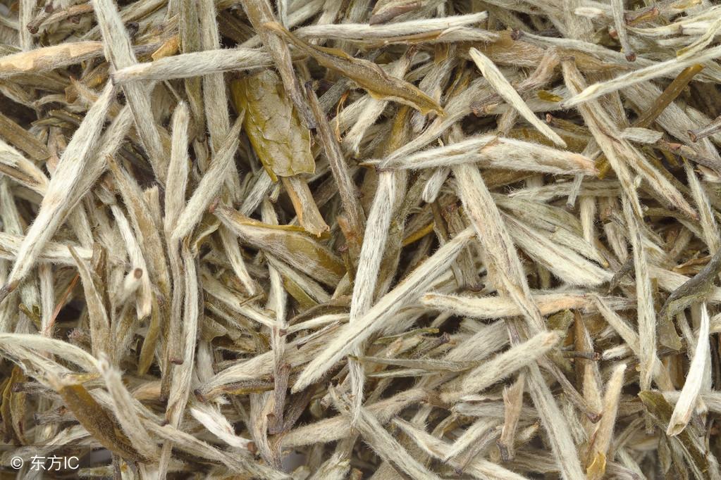 神級茶人最新章節(jié),探尋自然美景之旅,追尋內(nèi)心平靜之道