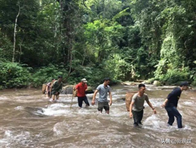 神級茶人最新章節(jié),探尋自然美景之旅,追尋內(nèi)心平靜之道