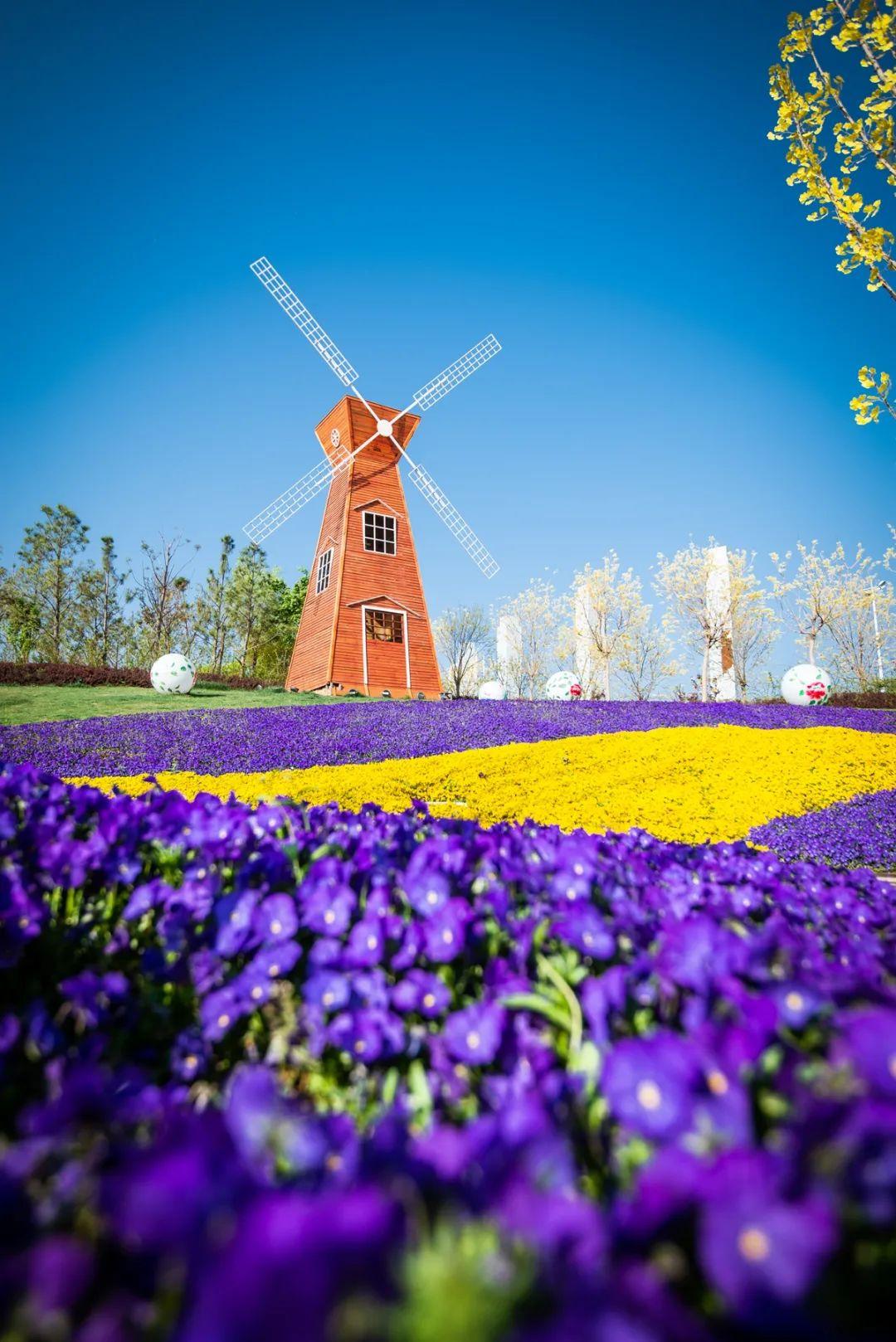 滎陽市最新房價動態，時代印記與城市的脈絡