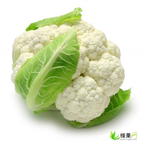 江蘇花菜價(jià)格最新動(dòng)態(tài)更新