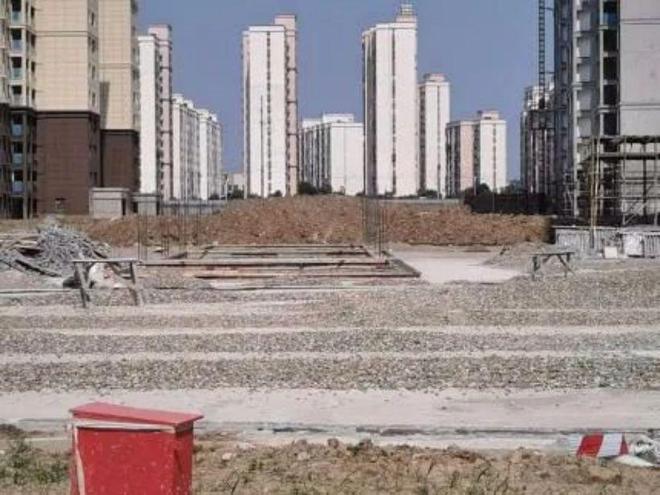 荊州農高區最新動態,引領農業現代化新篇章