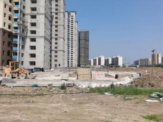 荊州農高區最新動態,引領農業現代化新篇章