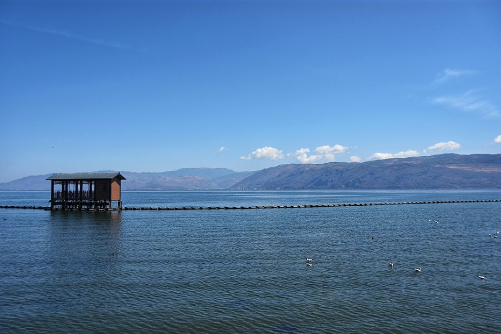 大理洱海最新動態(tài),生態(tài)與旅游發(fā)展的和諧共進