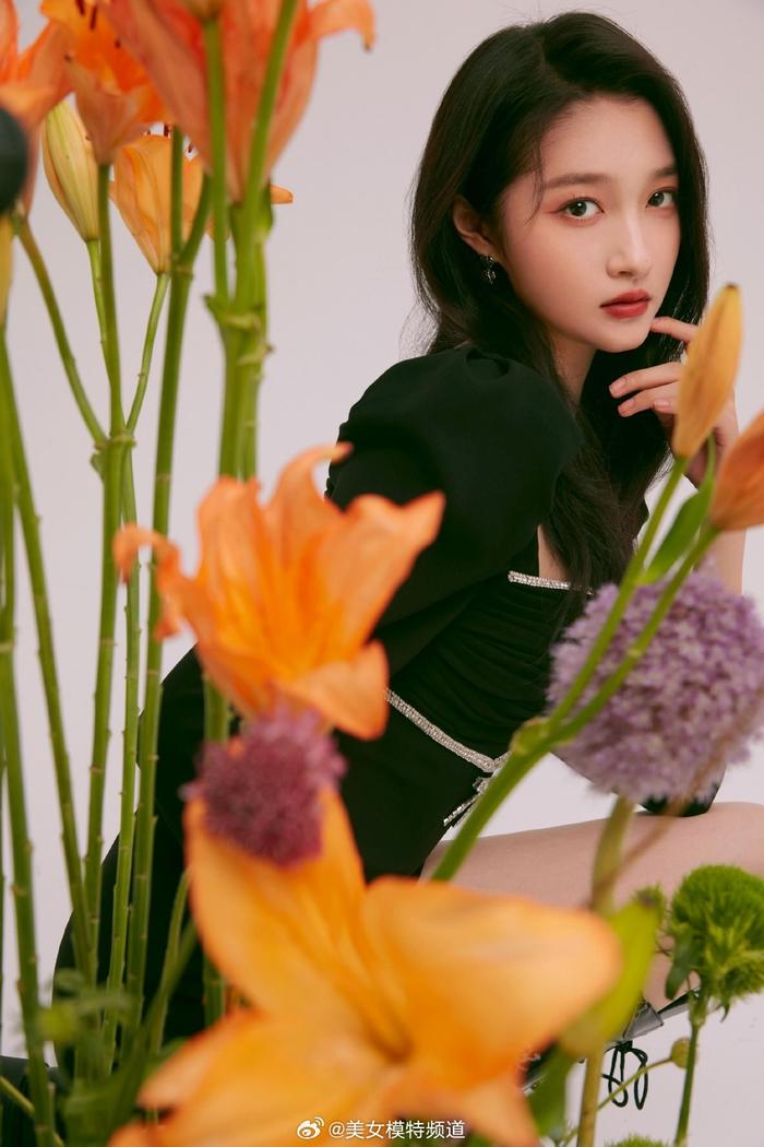 關曉彤最新寫真圖片欣賞與獲取指南