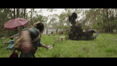 自然共舞的心靈之旅,最新狗狗電影鼓舞人心