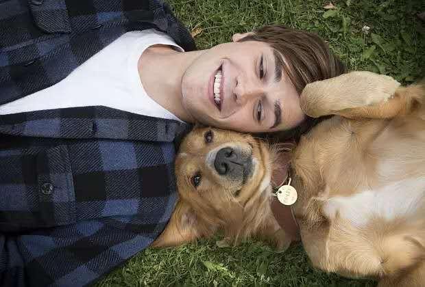 自然共舞的心靈之旅,最新狗狗電影鼓舞人心