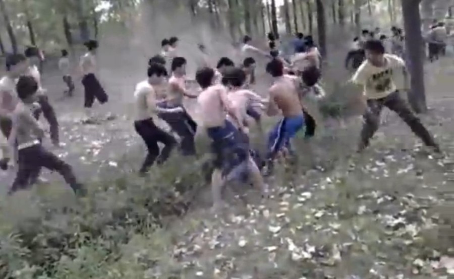 綏化貼吧熱議群架事件,學習改變命運,自信引領未來背后的力量