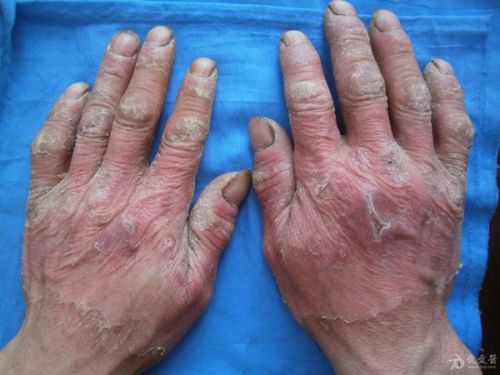 辦公設(shè)備租賃服務(wù) 第8頁