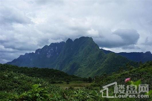 東方金港海岸最新動態(tài)揭秘,自然美景探索之旅啟程!